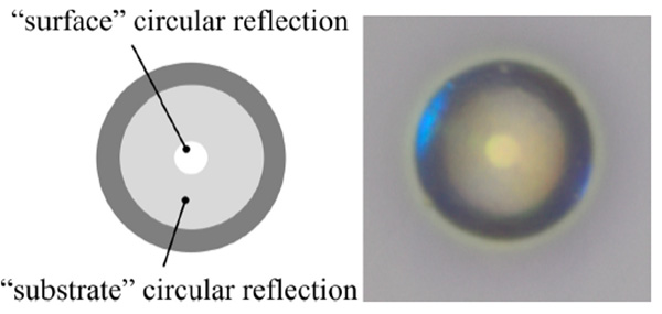 2025_Composites Part B